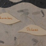 Chambre Oceane